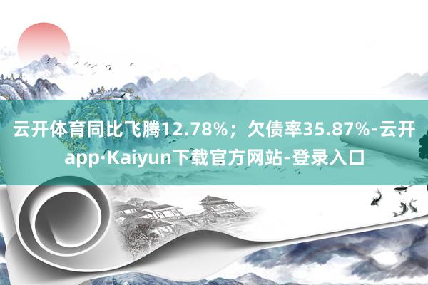 云开体育同比飞腾12.78%；欠债率35.87%-云开app·Kaiyun下载官方网站-登录入口