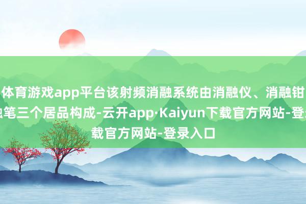 体育游戏app平台该射频消融系统由消融仪、消融钳和消融笔三个居品构成-云开app·Kaiyun下载官方网站-登录入口
